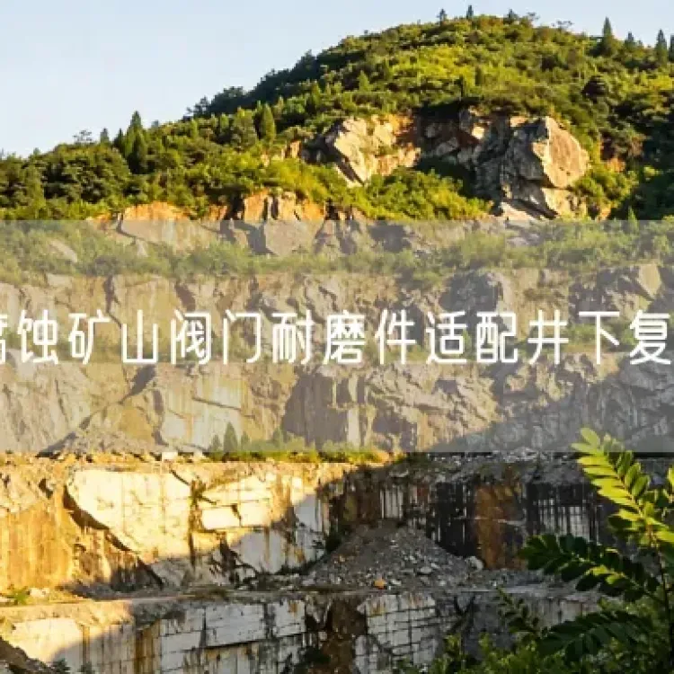 Highly Corrosion-Resistant Mining Valve Wear-Resistant Parts